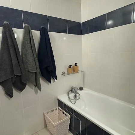 De La Daurade Apartment Toulouse